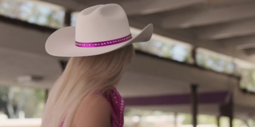 Barbie.2023.1080p.BluRay.Hindi.5.1-English.5.1.ESub.x264-HDHub4u.Tv.mkv.0003.jpg