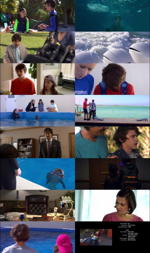 Bernie.The.Dolphin.2018.720p.BluRay.Hindi.English.2.0.x264.ESubs_s.jpg