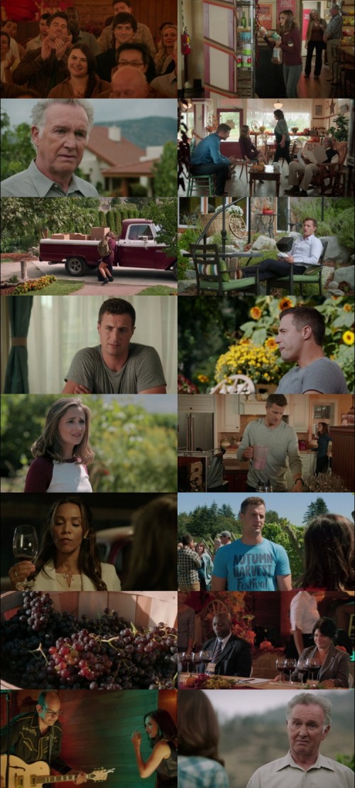 Autumn.in.the.Vineyard.2016.720p.Web.DL.Hindi.English.2.0.x264.ESubs_s.jpg