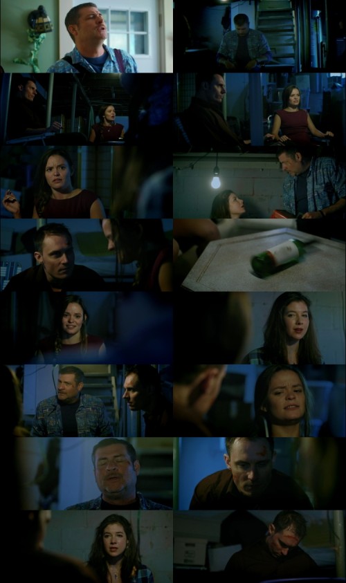 The.Samaritans.2017.720p.WEB.DL.Hindi.English.2.0.x264.ESubs_s.jpg