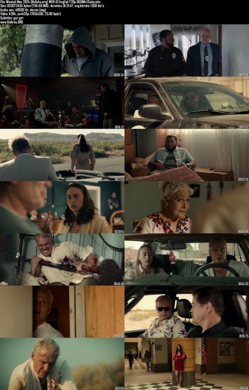 Wanted-Man-2024-Bolly4u.org-WEB-Dl-English-720p-800Mb-ESubs_s.jpg