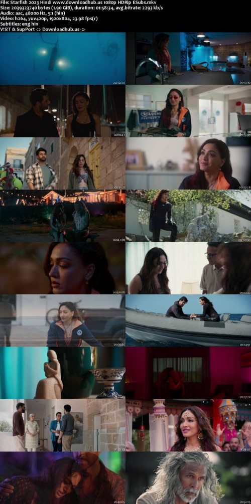 Starfish-2023-Hindi-www.downloadhub.us-1080p-HDRip-ESubs_s.jpg