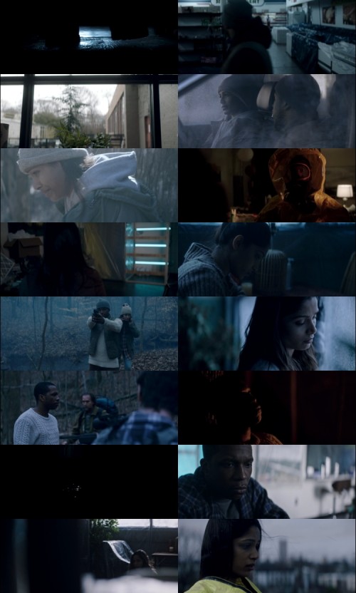 Only.2019.720p.BluRay.Hindi.Englidh.2.0.x264.ESubs_s.jpg