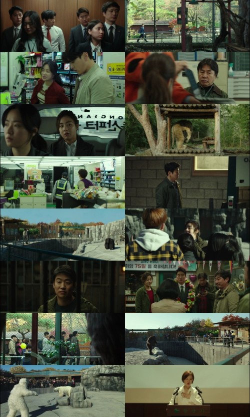 Secret.Zoo.2020.720p.BluRay.Hindi.Englidh.2.0.x264.ESubs_s.jpg