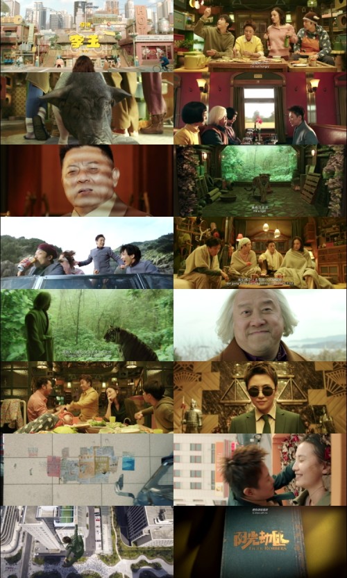Tiger.Robbers.2021.1080p.Web.DL.Hindi.Chinese.2.0.x264.ESubs_s.jpg