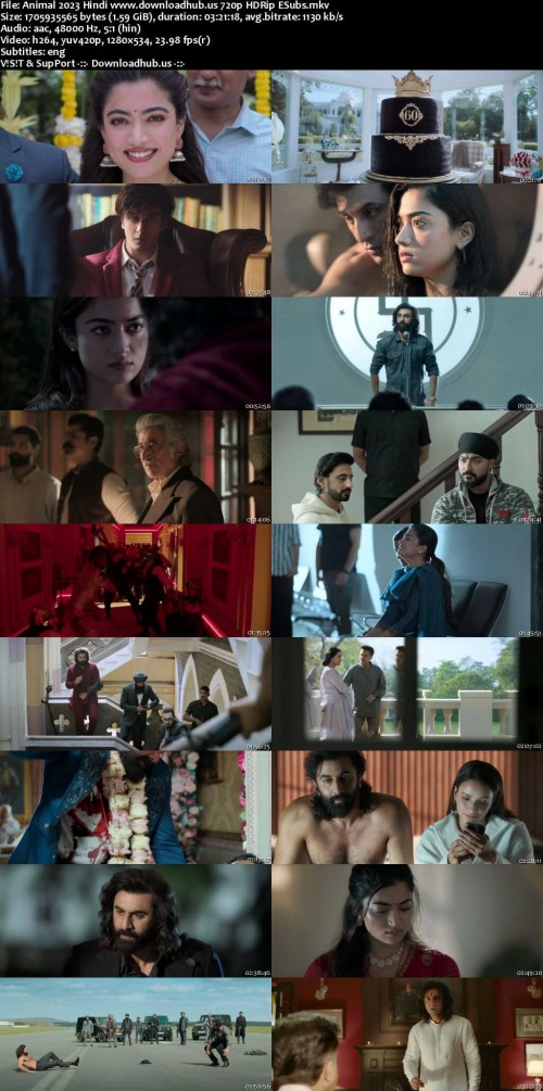 Animal-2023-Hindi-www.downloadhub.us-720p-HDRip-ESubs_s.jpg
