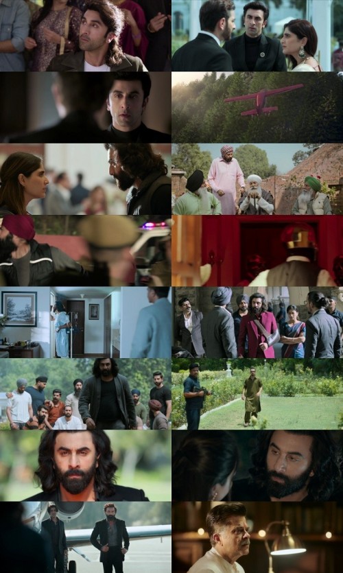Animal.2023.1080p.WEB.HDRip.Hindi.Multi.DD.5.1.x264.ESubs.Full4Movies_s.jpg