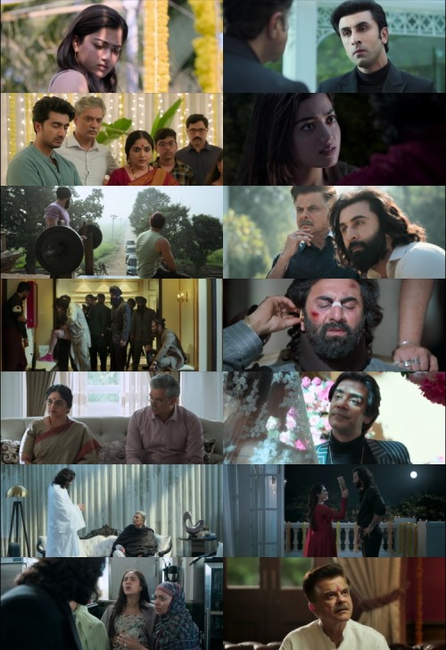 Animal.2023.1080p.WEB.HDRip.Hindi.Multi.DD.5.1.x264.ESubs.Full4Movies_s5a5961986c93ab33.jpg