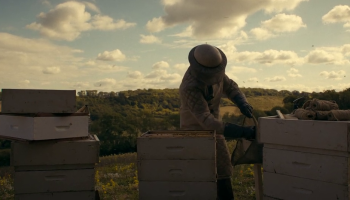 Download The Beekeeper (2024) English HDRip Full Movie