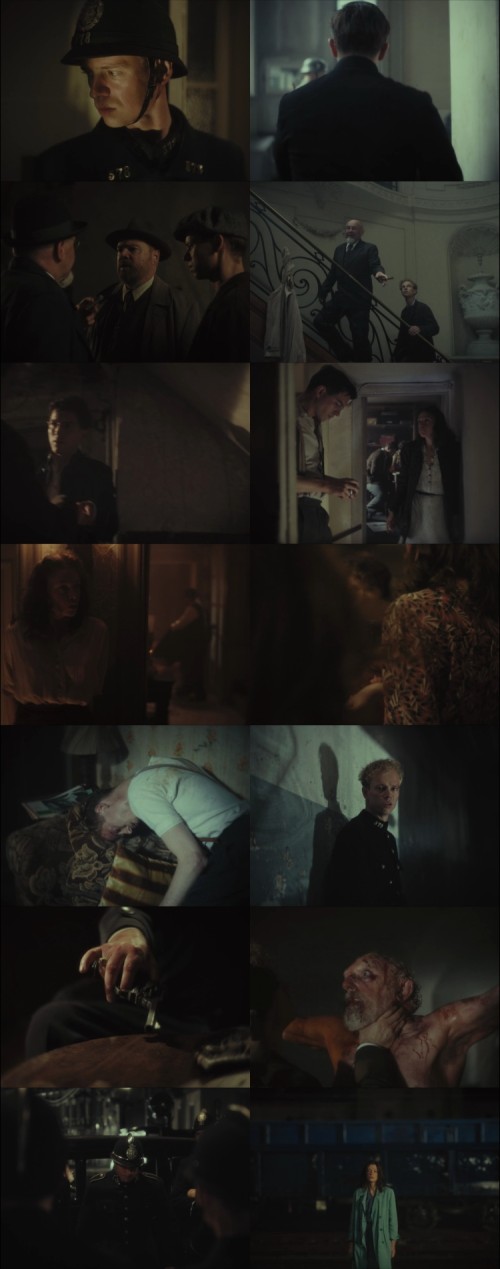 WIL.2023.720p.Web.DL.Hindi.Dutch.2.0.x264.ESubs_s.jpg