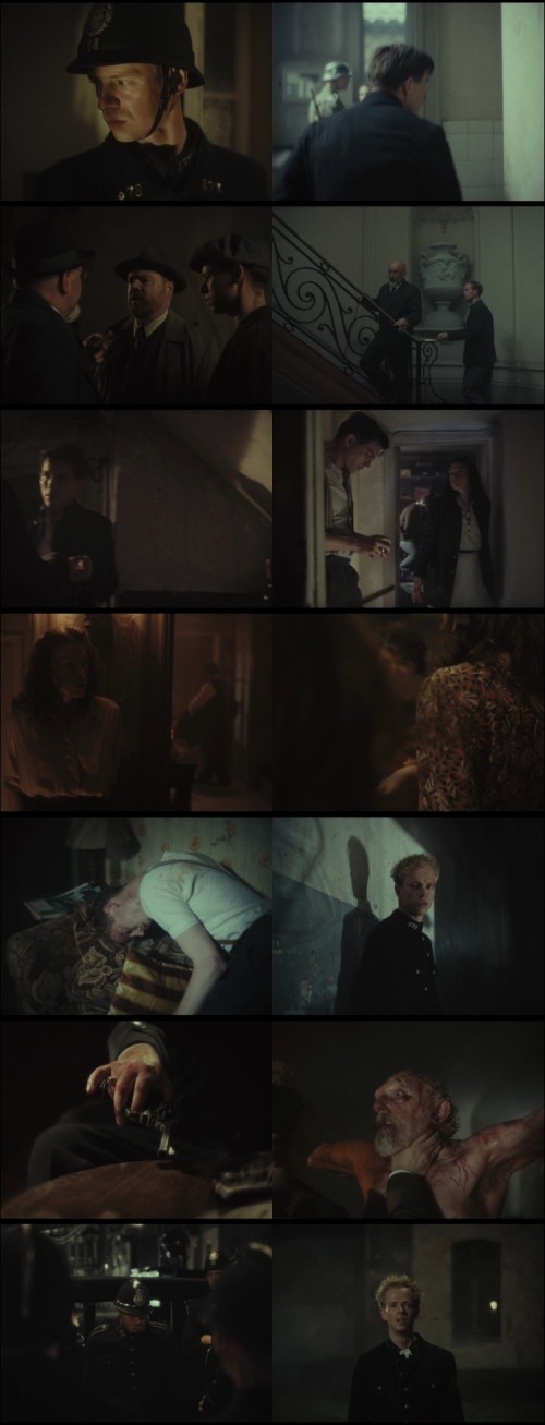 Wil-2024-Hindi-Dual-Audio-www.DownloadHub.us-1080p-Web-DL-MSubs_s.jpg