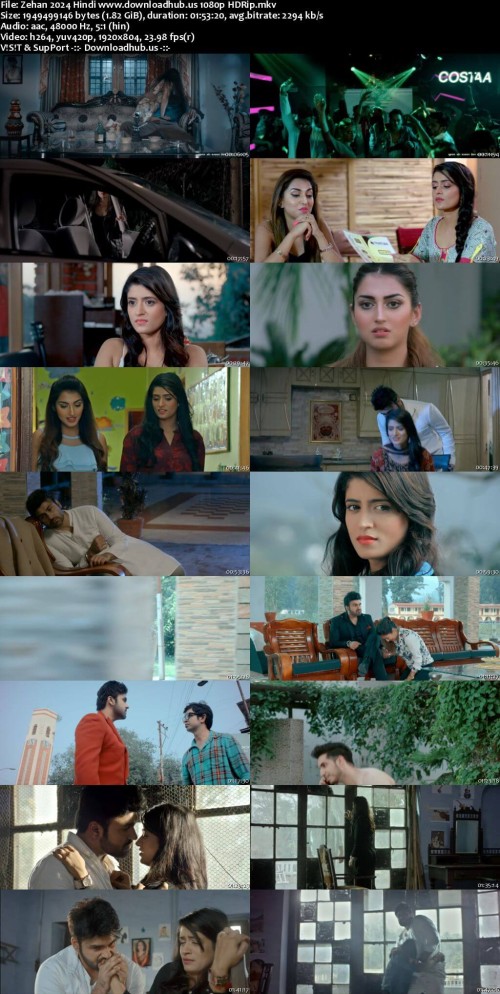 Zehan-2024-Hindi-www.downloadhub.us-1080p-HDRip_s.jpg
