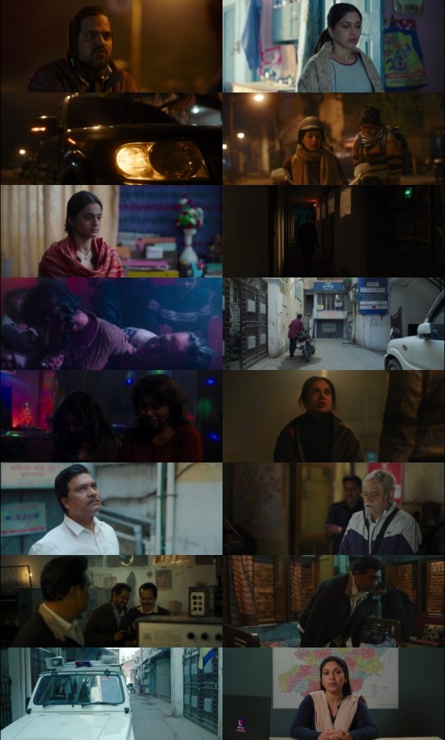 Bhakshak.2024.1080p.WEB.HDRip.Hindi.DD.5.1.x264.ESubs.Full4Movies_s.jpg