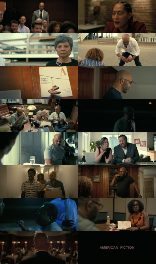 American-fiction-2023-Hindi-ORG-Dual-Audio-www.DownloadHub.us-1080p-WEB-DL-ESubs_s.jpg