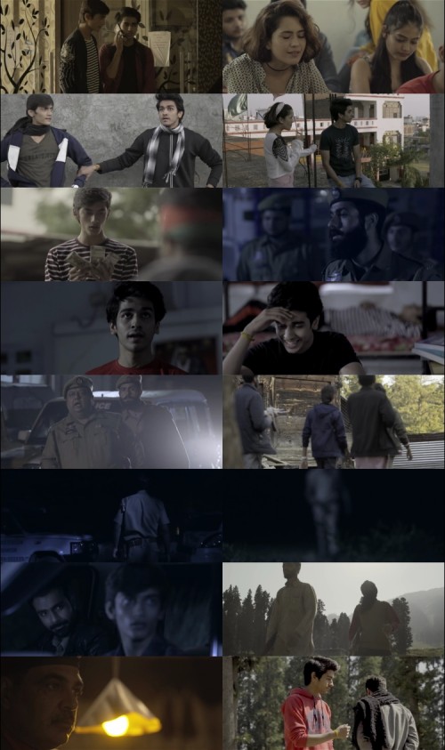 Scammy-Boys-2024-Hindi-www.downloadhub.us-720p-HDRip-x264_s.jpg