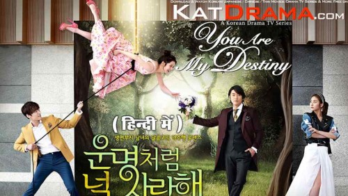 You-are-My-Destiny-2014-Korean-Drama-Hindi-Dubbed.jpg