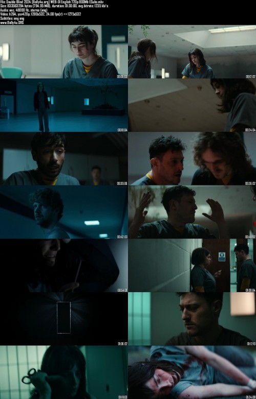 Double-Blind-2024-Bolly4u.org-WEB-Dl-English-720p-800Mb-ESubs_s.jpg