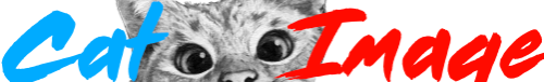 logo_1598716309216_5c7eff.png