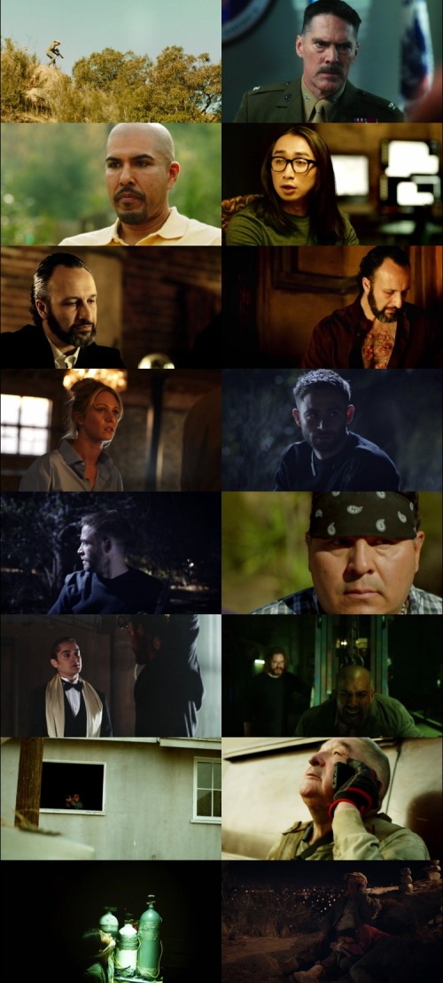 Shadow.Wolves.2019.720p.BluRay.Hindi.English.DD.2.0.x264.ESubs_s.jpg