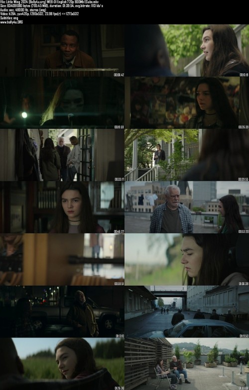 Little-Wing-2024-Bolly4u.org-WEB-Dl-English-720p-800Mb-ESubs_s.jpg