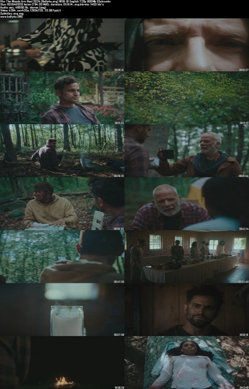 The-Woods-Are-Real-2024-Bolly4u.org-WEB-Dl-English-720p-800Mb-ESubs_s.jpg
