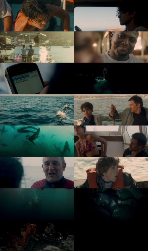 Dark.Tide.2012.720p.BluRay.Hindi.English.DD.2.0.x264.ESubs_s.jpg
