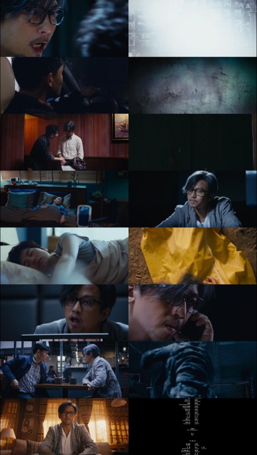 The.Liquidator.2017.720p.WEB.DL.Hindi.Chinese.DD.2.0.x264.ESubs_s.jpg