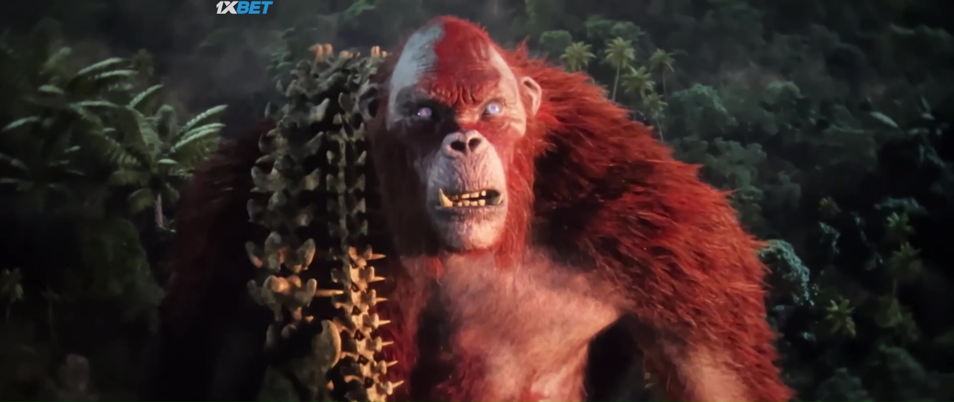 Download Godzilla x Kong The New Empire 2024 Hindi HDRip Full Movie