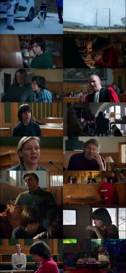 Anatomy.of.a.Fall.2023.1080p.BluRay.Hindi.French.DD.5.1.x264.ESubs_s.jpg