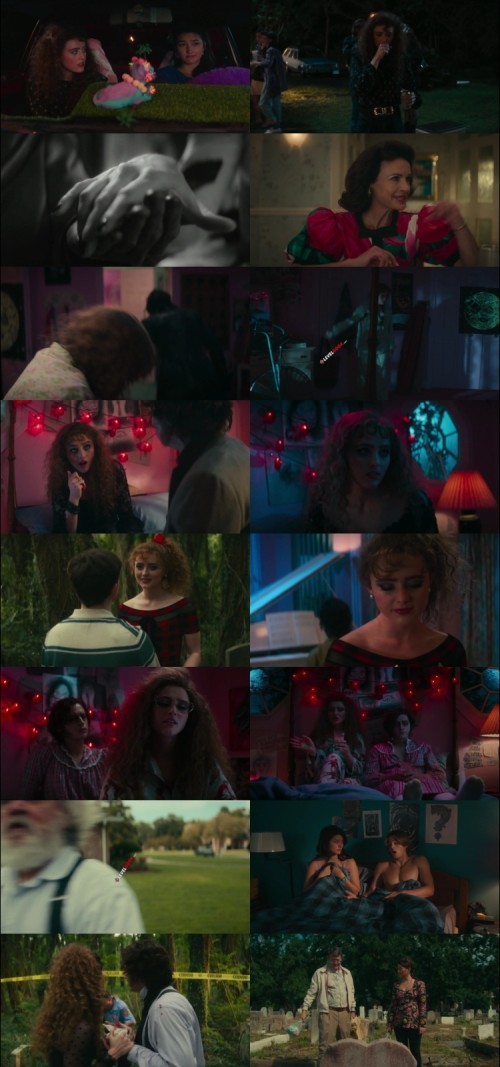 Lisa.Frankenstein.2024.1080p.WEB.DL.Hindi.English.DD.2.0.x264.ESubs_s.jpg