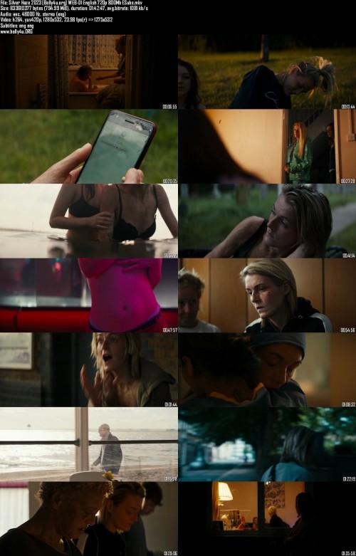 Silver-Haze-2023-Bolly4u.org-WEB-Dl-English-720p-800Mb-ESubs_s.jpg