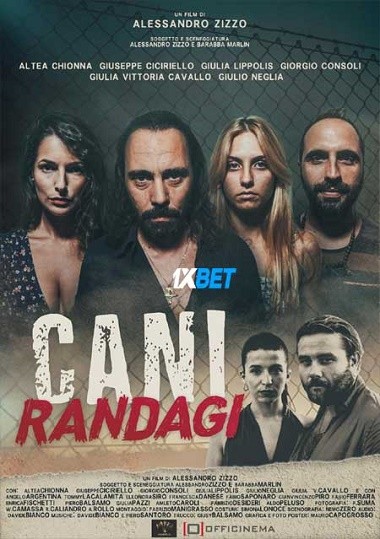 Cani.randagi.2023.720p.WEBR.jpg
