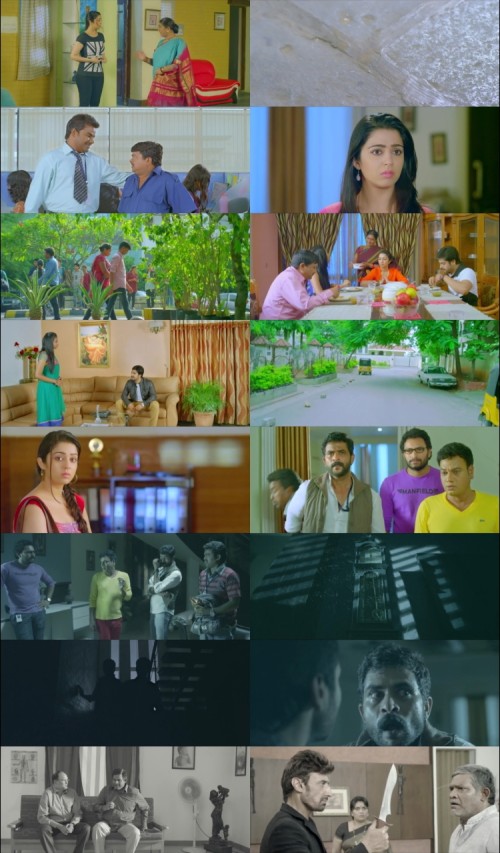 Mantra.2.2013.1080p.WEB.DL.Hindi.DD.2.0.x264.ESubs_s.jpg