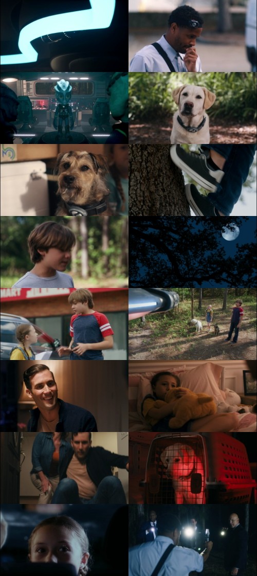 Space.Pups.2023.720p.WEB.DL.Hindi.English.DD.2.0.x264.ESubs_s.jpg