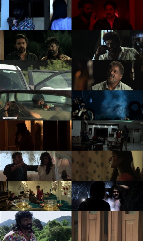 Meri.Mohabbat.Meri.Nafrat-Deshamlo.Dongalu.Paddaru.2018.1080p.WEB.DL.Hindi.DD.2.0.x264.ESubs_s.jpg