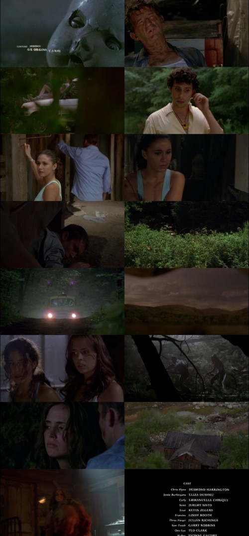 Wrong.Turn.2003.1080p.BluRay.Hindi.English.DD.5.1x264.ESubs_s.jpg