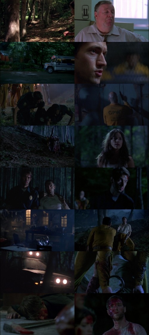 Wrong.Turn.3.Left.for.Dead.2009.1080p.BluRay.English.DD.5.1x264.ESubs_s.jpg