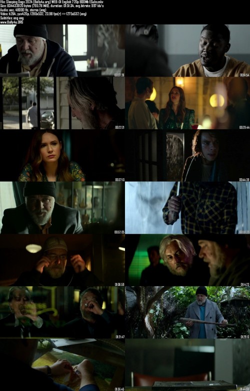 Sleeping-Dogs-2024-Bolly4u.org-WEB-Dl-English-720p-800Mb-ESubs_s.jpg