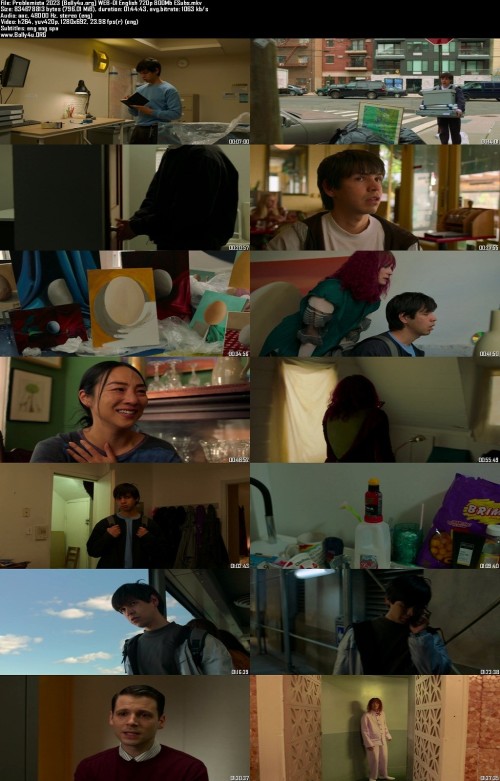 Problemista-2023-Bolly4u.org-WEB-Dl-English-720p-800Mb-ESubs_s.jpg