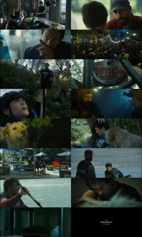 Arthur.the.King.2024.720p.WEB.DL.English.DD.2.0.x264.ESubs_s.jpg