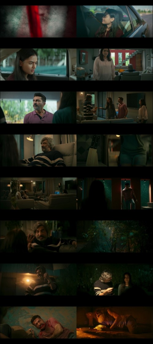 Vash.2023.1080p.WEB.DL.Gujarati.2.0.x264.HDHub4u_s.jpg