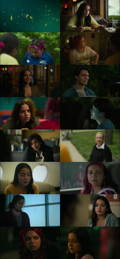 Turtles.all.the.way.down.2024.1080p.WEB.HDRip.English.DD.5.1.x264.MSubs.Full4Movies_s.jpg