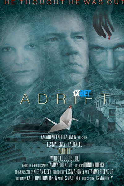 Adrift.2022.720p.WEBRip.HIN.jpg