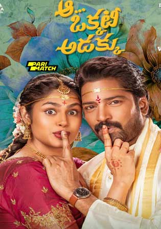 Aa Okkati Adakku 2024 HDCAM Telugu Full Movie Download 1080p