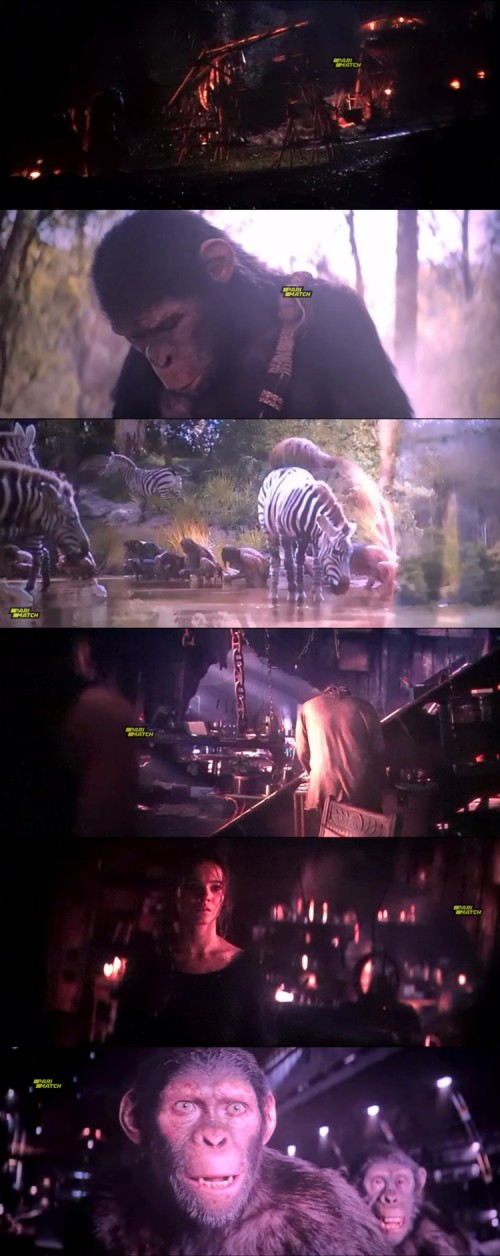Kingdom.of.the.Planet.of.the.Apes.2024.1080p.CAMRip.HINDI.DUB.PariMatch_s.jpg