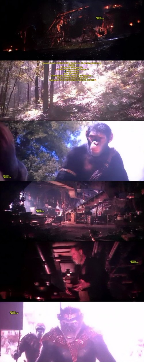 Kingdom.of.the.Planet.of.the.Apes.2024.1080p.CAMRip.HINDI.ENG.PariMatch_s.jpg
