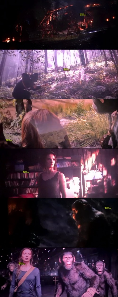Kingdom.of.the.Planet.of.the.Apes.2024.1080p.CAMRip.TAM.DUB.PariMatch_s.jpg