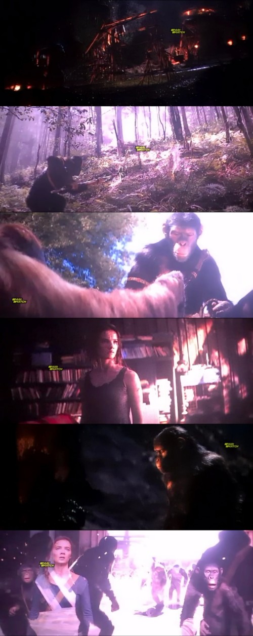 Kingdom.of.the.Planet.of.the.Apes.2024.1080p.CAMRip.TEL.DUB.PariMatch_s.jpg