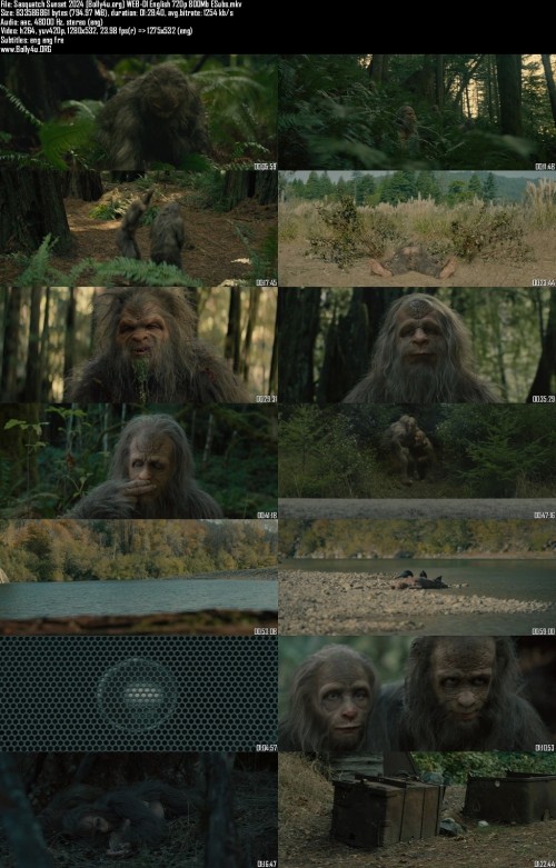 Sasquatch-Sunset-2024-Bolly4u.org-WEB-Dl-English-720p-800Mb-ESubs_s.jpg