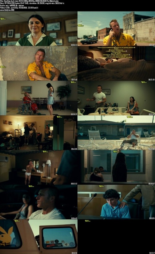 One.Day.As.A.Lion.2023.1080p.WEBRip.HINDI.HQ.DUB.PariMatch_s.jpg